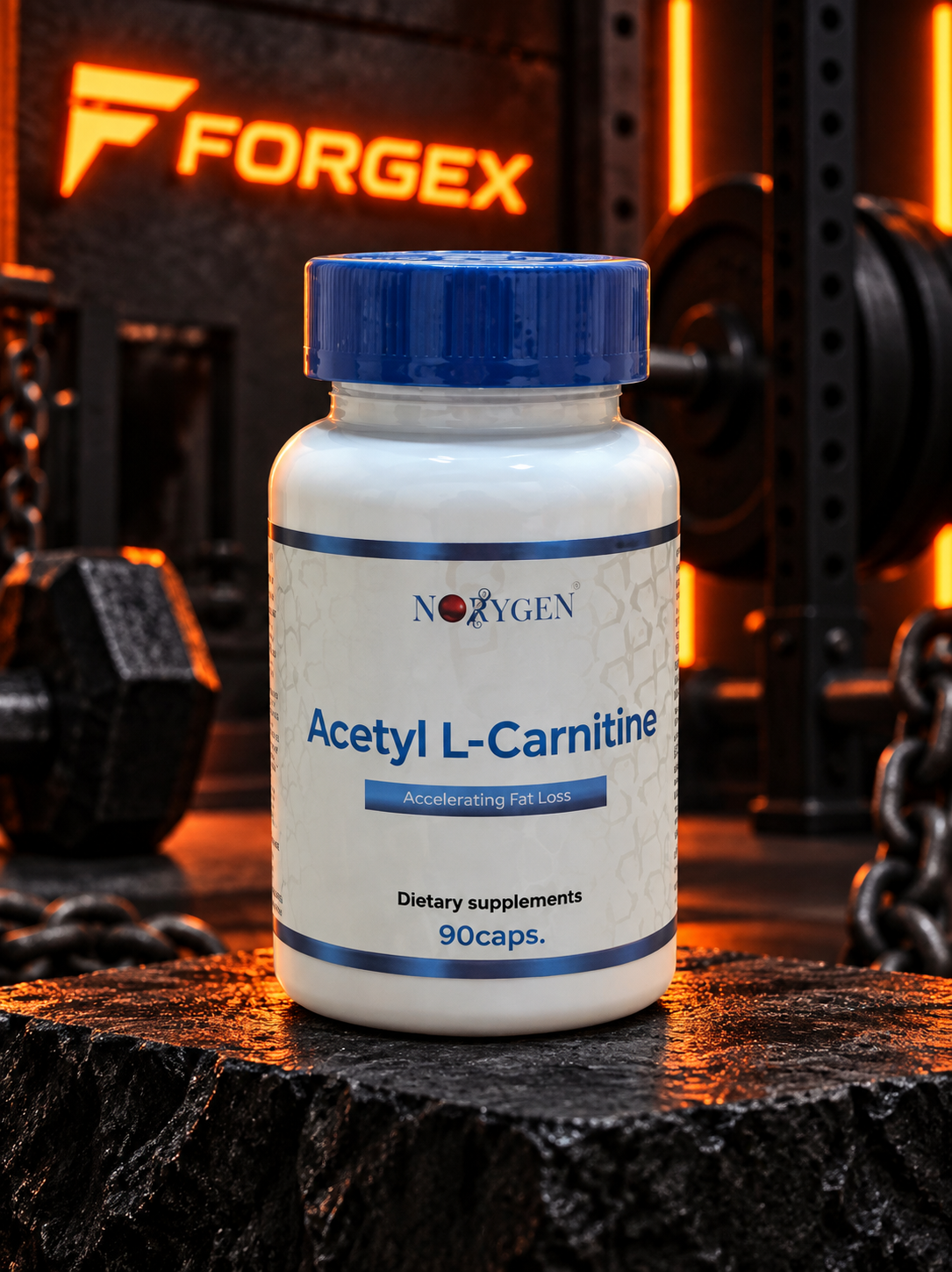 Noxygen Acetyl L-Carnitine 